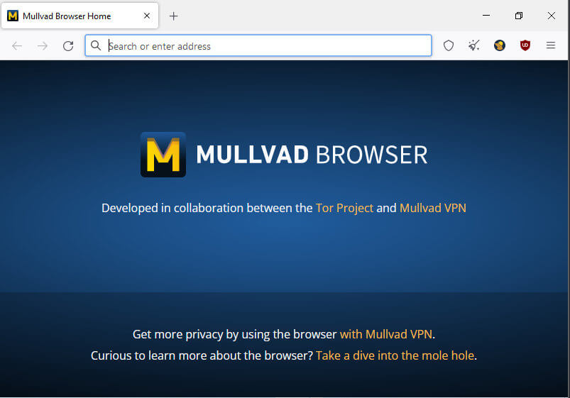 Mullvad browser