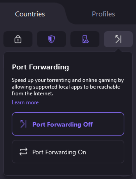 Proton VPN port forwarding control