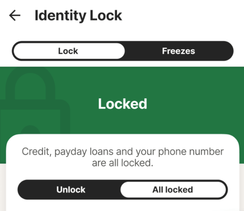 LifeLock-credit-lock