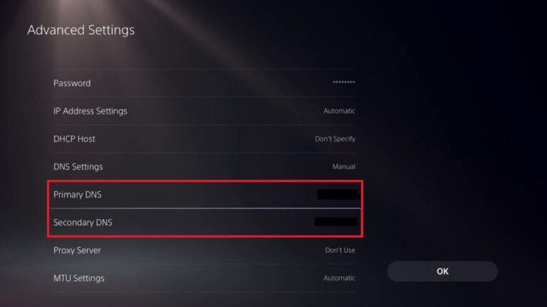 Roblox DNS Settings Playstation 5