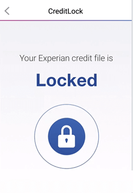 Experian IdentityWorks Credit Lock