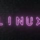 Russia Mulls Forking Linux in Response to Developer Exclusions