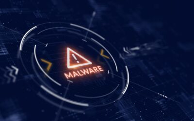 Operation Magnus Update Announces Arrest of RedLine Malware Creator