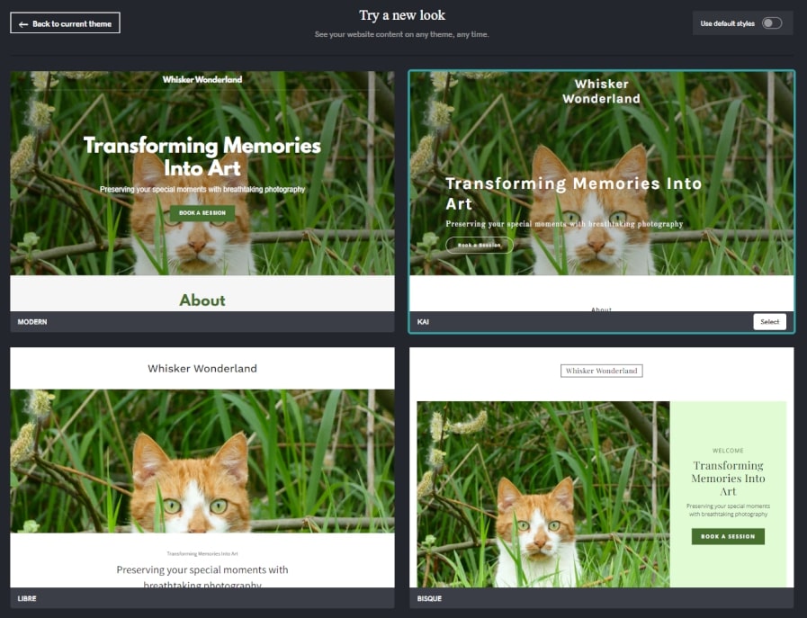 GoDaddy site builder themes