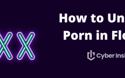 Unblock Porn Websites in Florida