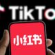 TikTok Alternative 'RedNote' Is Leaking User Data in Plaintext