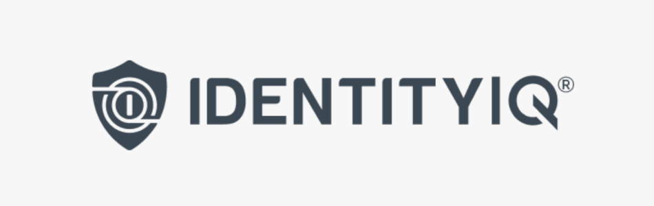 IdentityIQ logo small