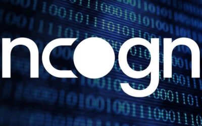 incogni-review