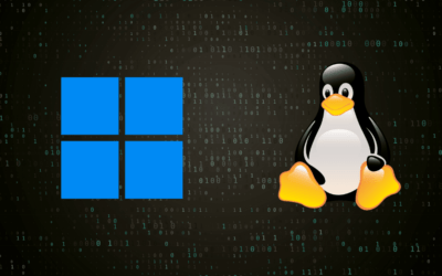 Windows Subsystem for Linux Finally Becomes Open Source