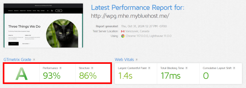 Bluehost speed test