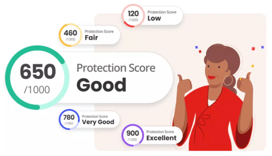 McAfee protection score
